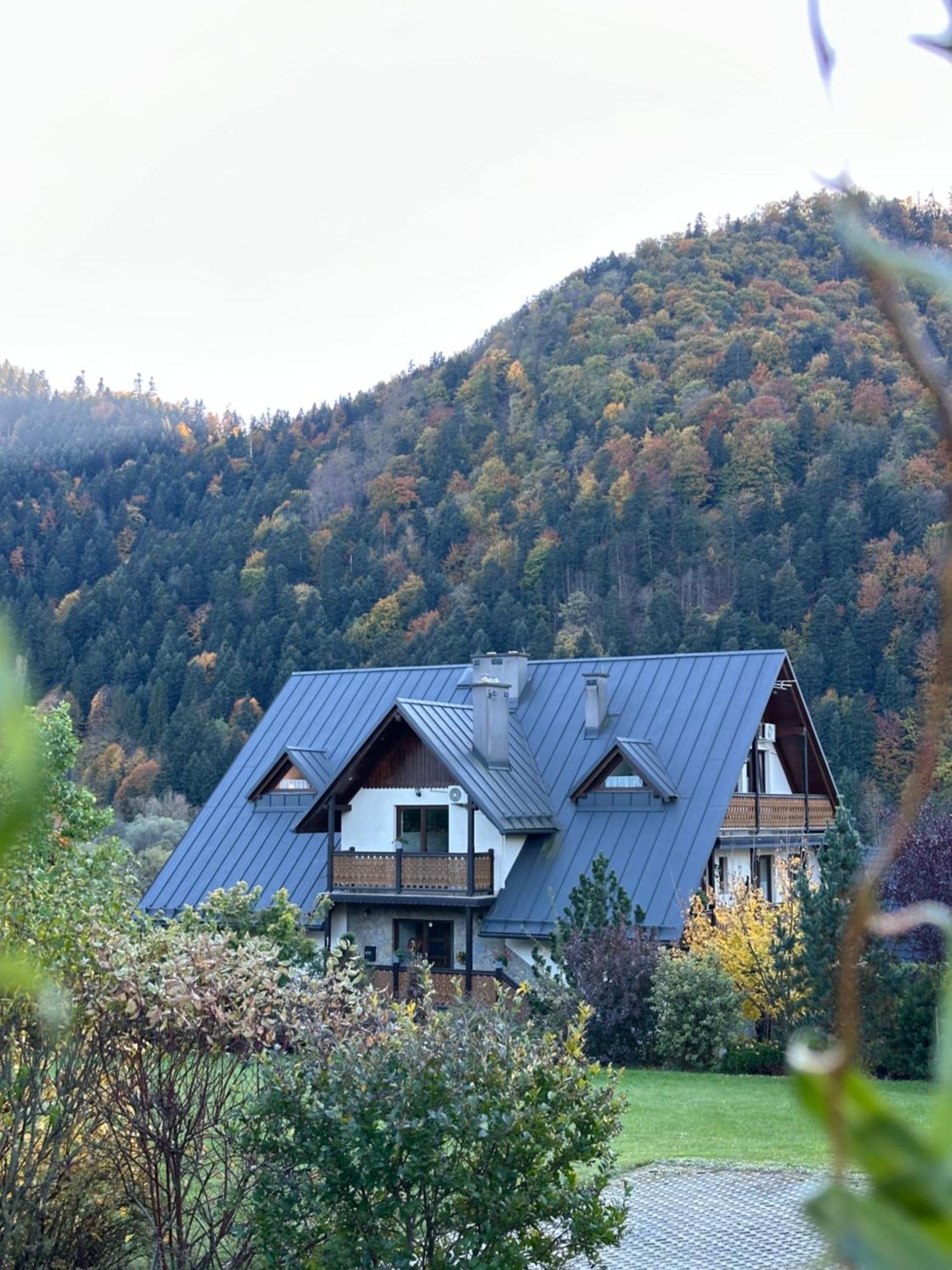 Willa Aurinia Szczawnica Exterior foto